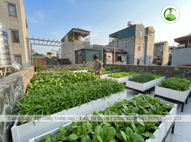 Sống Xanh 365 – Giải pháp sân vườn thông minh