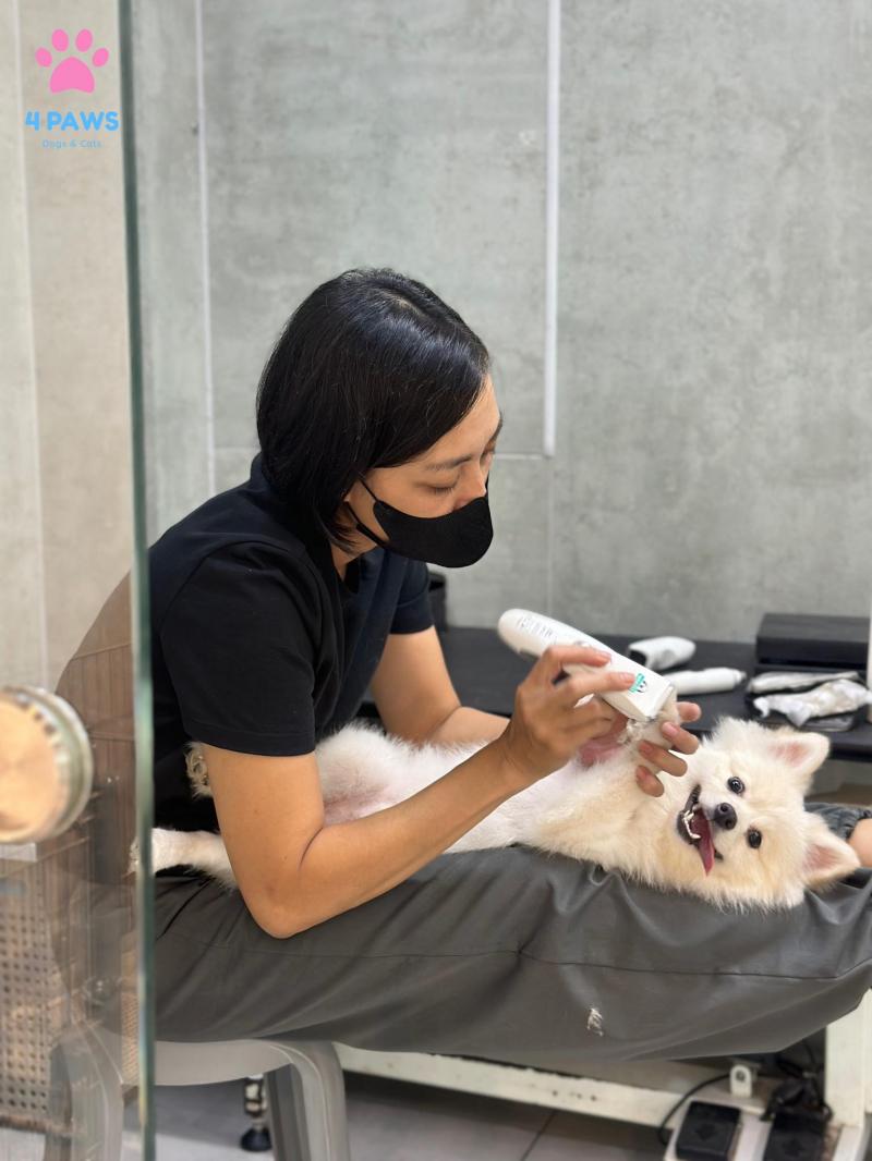 Spa Chó Mèo - Fourpaws