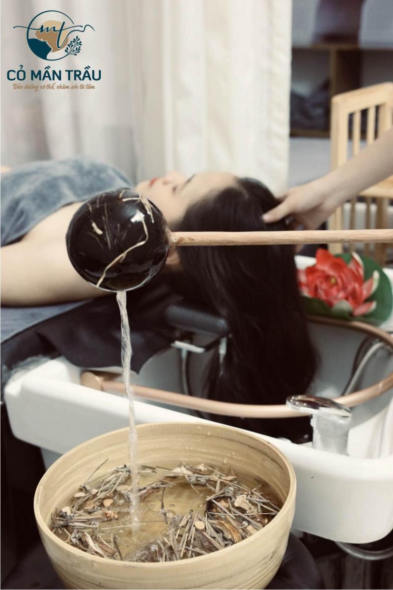 Spa Cỏ Mần Trầu