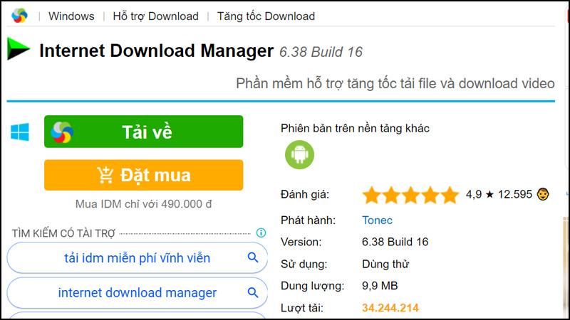 Internet Download Manager