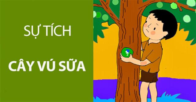 Sự tích cây vú sữa