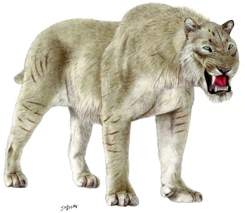 European Cave Lion