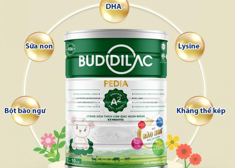 Sữa bột cho bé Buddilac Pedia