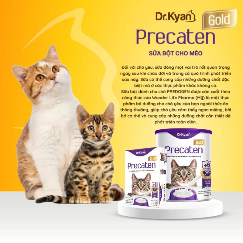 Sữa bột cho mèo PRECATEN GOLD