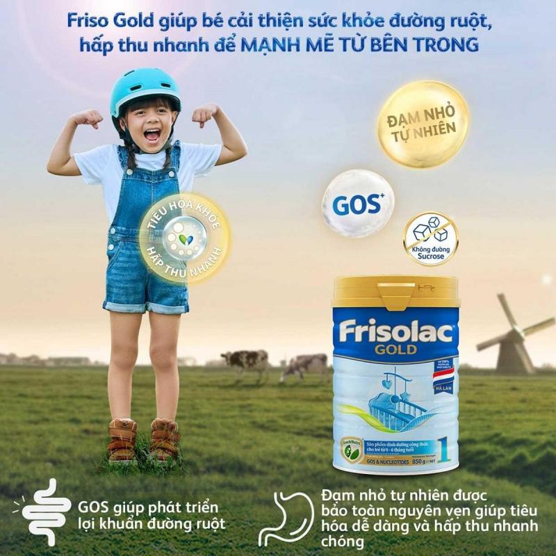 Sữa bột Friso Gold