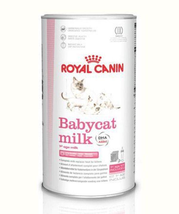 Sữa cho mèo con Royal Canin Babycat