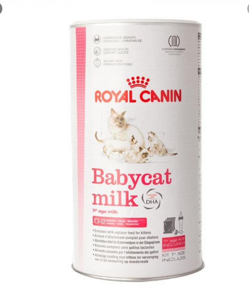 Sữa Cho Mèo Con Royal Canin Babycat Milk