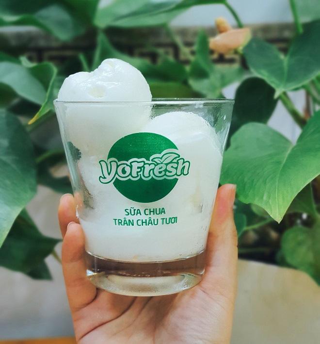 Sữa Chua Trân Châu Tươi YoFresh