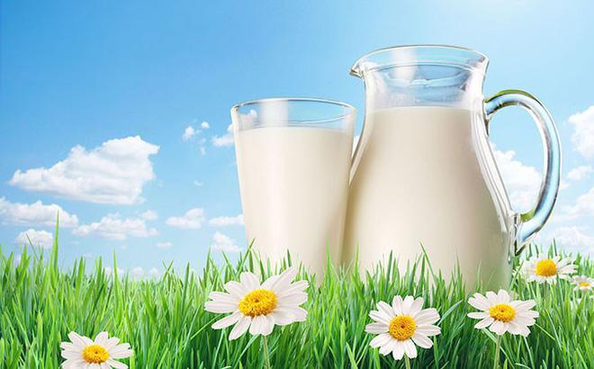 Lợi ích của việc uống sữa