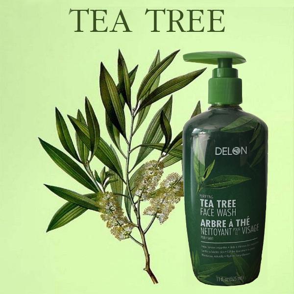 SỮA RỬA MẶT DELON TEA TREE FACE WASH 325ML