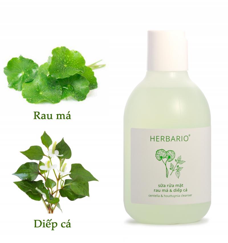 Sữa rửa mặt rau má & diếp cá Herbario