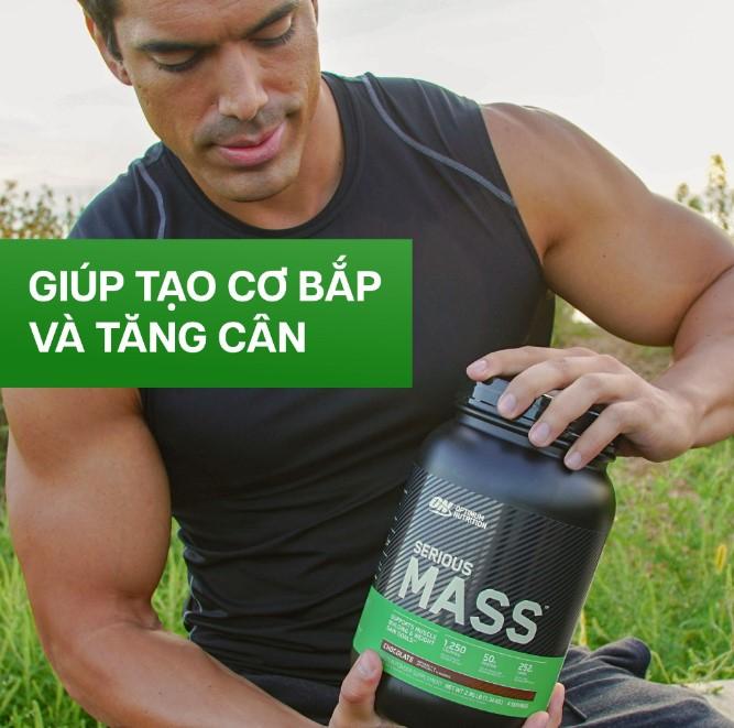 Sữa tăng cân Serious Mass 6lbs