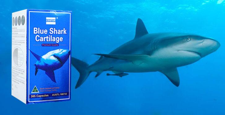 Sụn Vi Cá Mập Blue Shark Cartilage 750mg Úc Costar