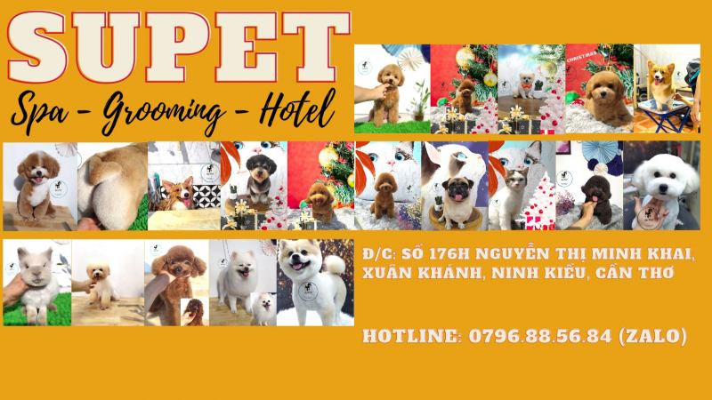 Supet Spa - Grooming & Hotel