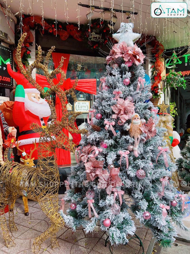 Tâm Shoppe - Tâm Nguyễn Shop