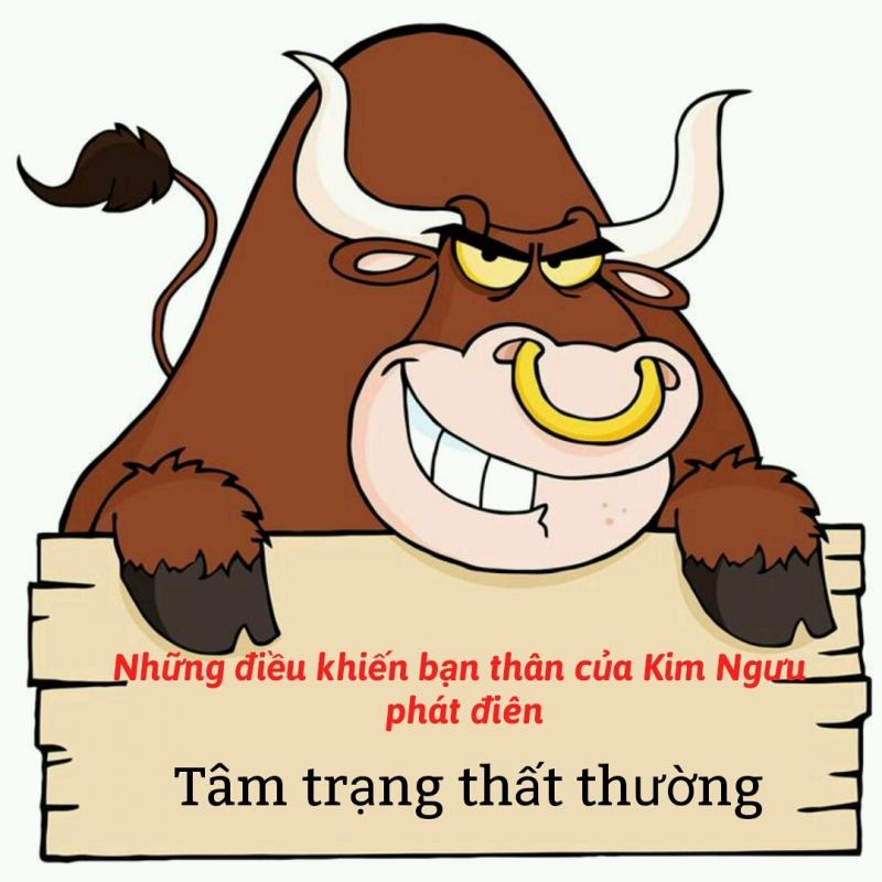 Kim Ngưu tâm trạng thất thường