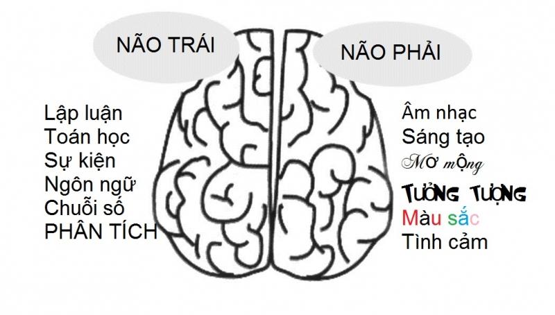 Tận dụng toàn bộ não, tăng khả năng tập trung