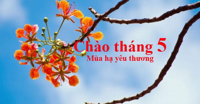 Xao xuyến tháng Năm