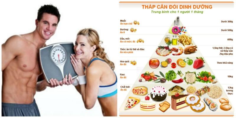 Tăng cường thực phẩm giàu Protein