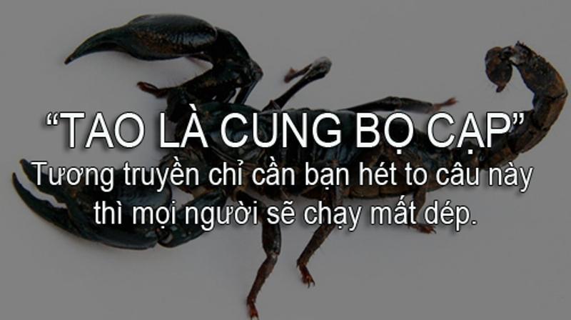 Câu nói này mang tính đe dọa đối phương