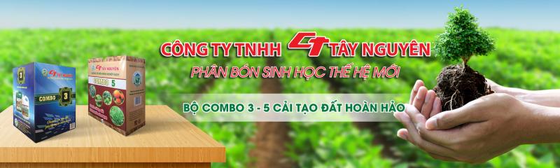 Tập đoàn CT Tây Nguyên