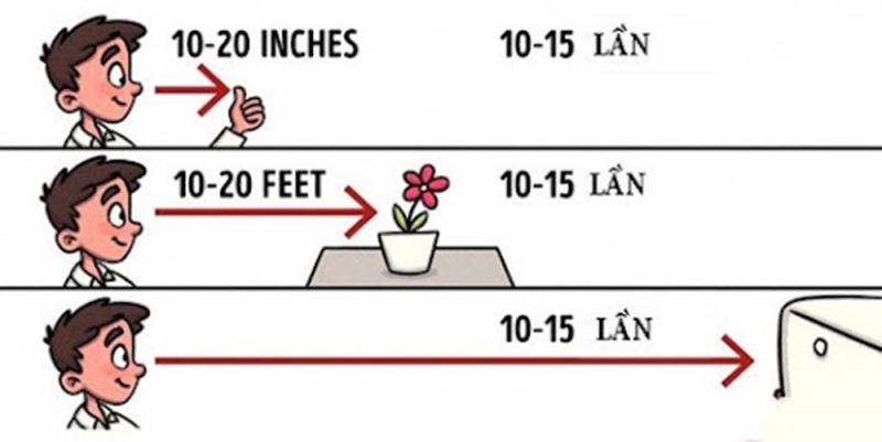 Tập nhìn xa, nhìn gần cho mắt quen với cường độ làm việc của bạn