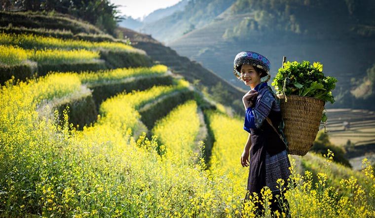 Tây Bắc Gọi Tên