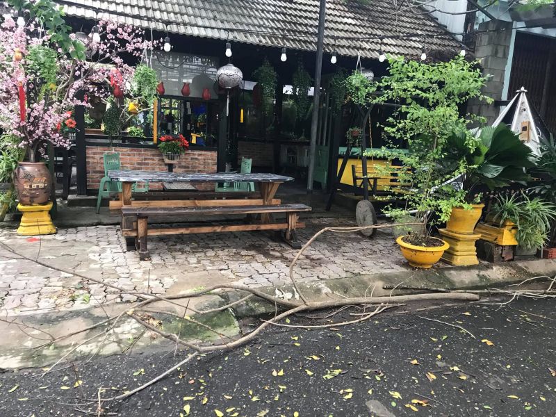 Top 11 quán café  đẹp có sân vườn xanh mát nhất Đà Nẵng
