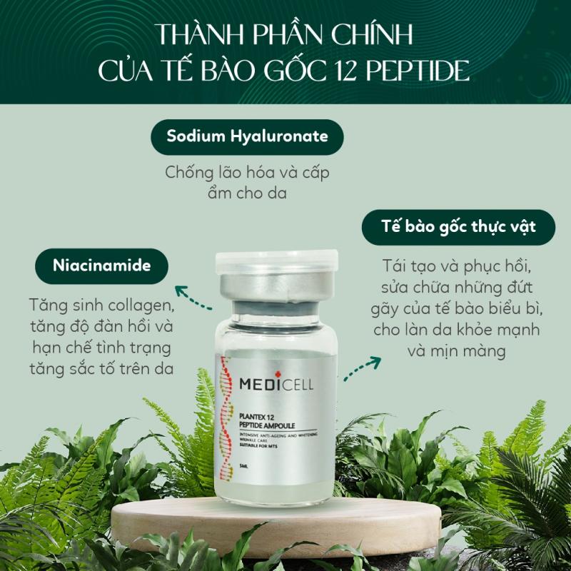 Tế bào gốc Plantex 12 Peptide Medicell