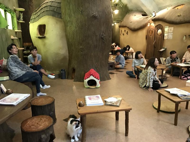 Những quán cà phê thú cưng thu hút giới trẻ checkin tại Đà Lạt  Địa điểm  ăn uống