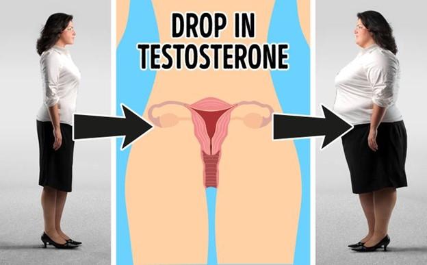 Testosterone