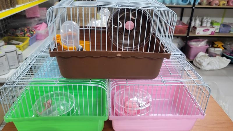 TH Pet Shop