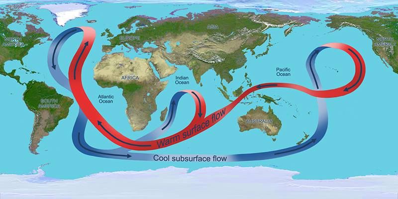 Thái Bình Dương có vòng hải lưu không?