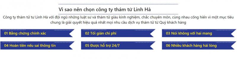 Thám tử Linh Hà