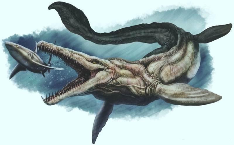 Tylosaurus