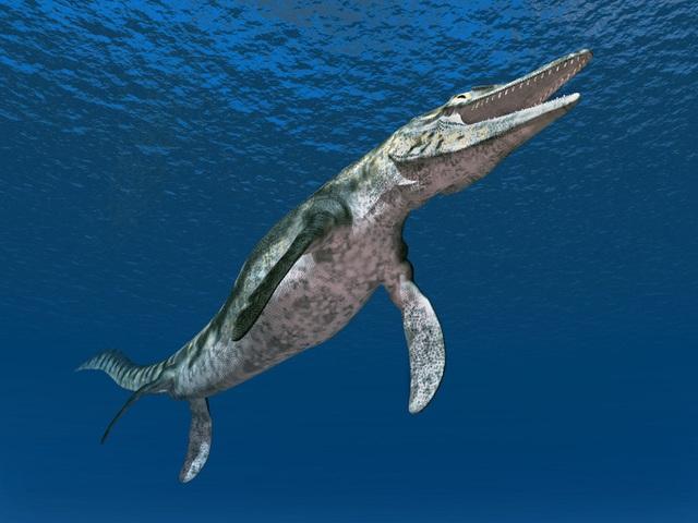 Tylosaurus