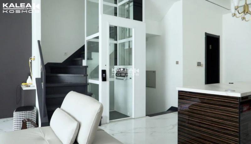 Thang máy trục vít phù hợp với nhiều phong cách thiết kế nhà và nội thất khác nhau.