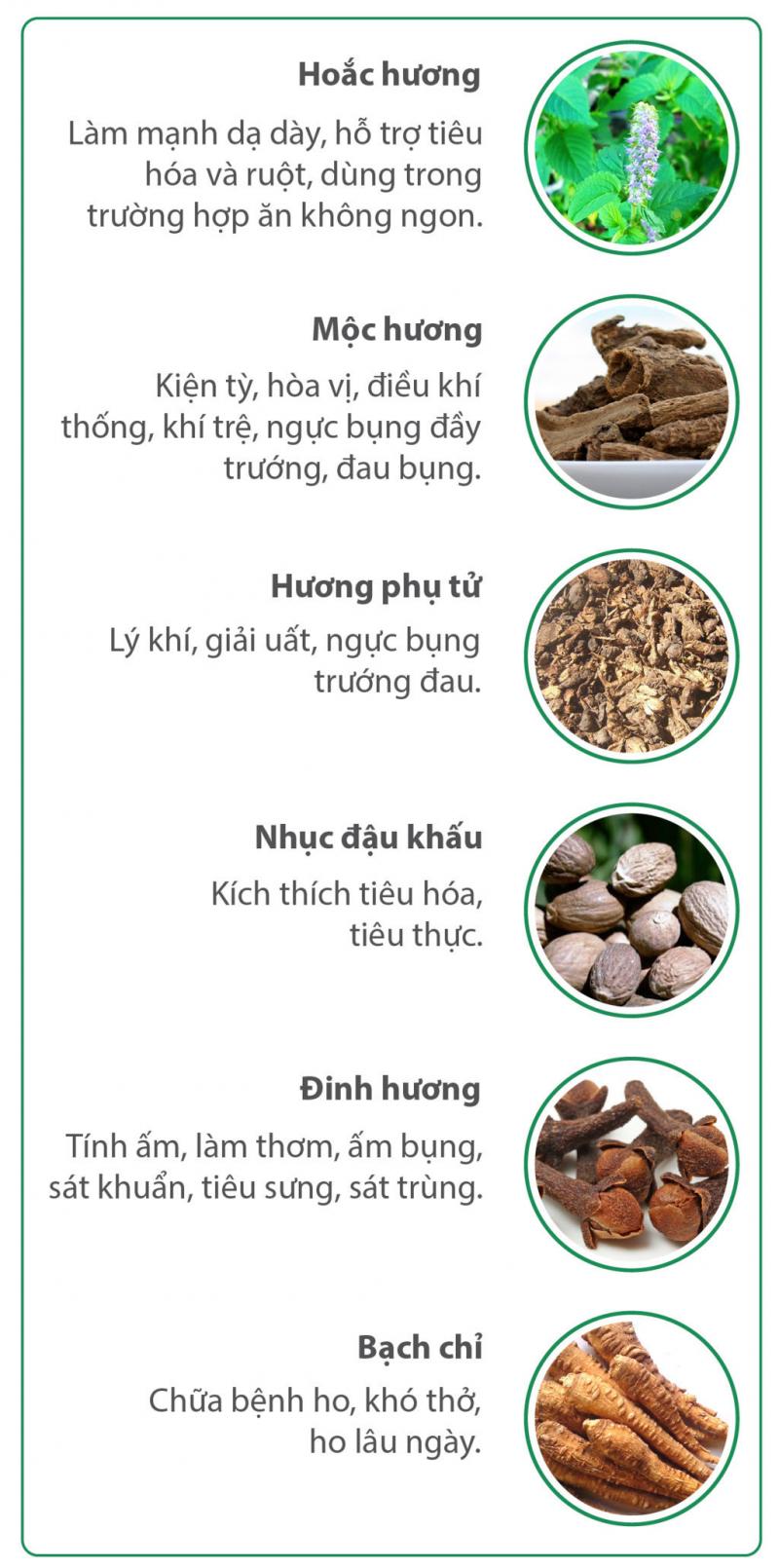 Các thành phần chính trong sản phẩm viên nang Thanh Hương Tán