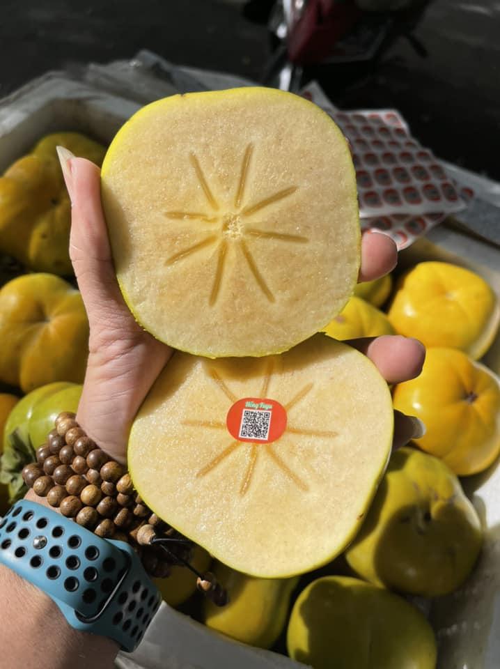 Thành Nam Fruit - Trái cây Nhập khẩu