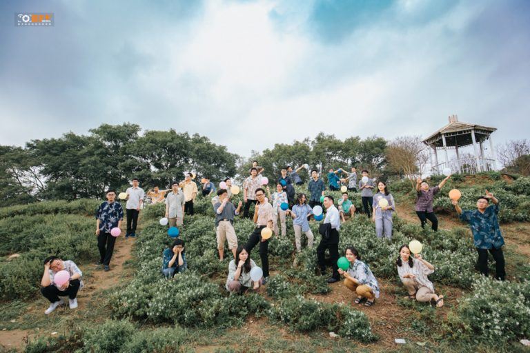 Thảo nguyên hoa Long Biên