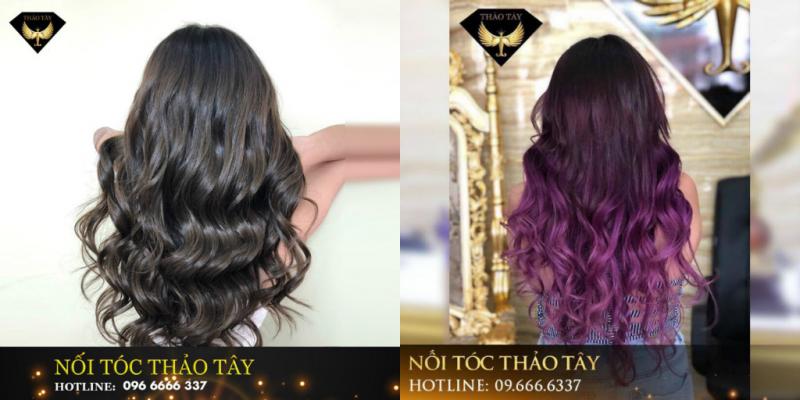 Salon Thảo Tây