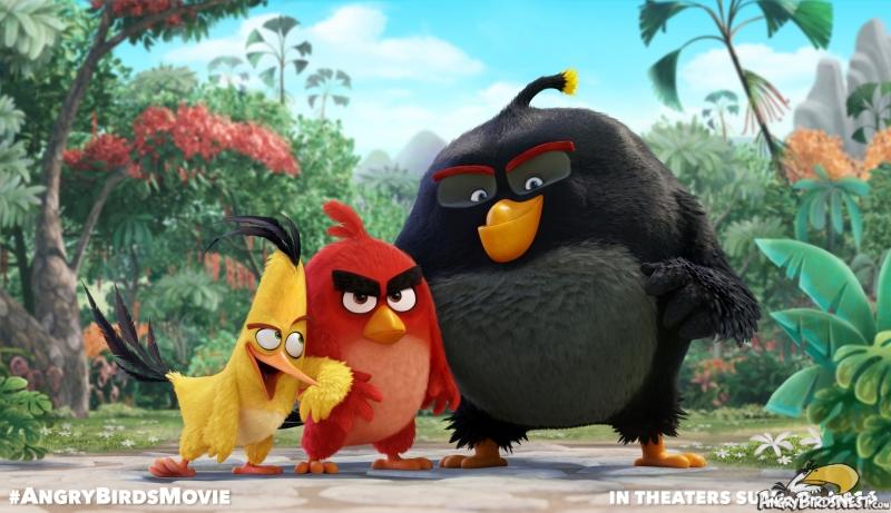 The Angry Birds Movie (2016)