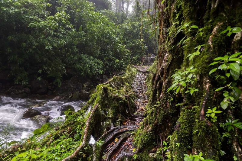 The City Of Rain: Cherrapunji (Ấn Độ)