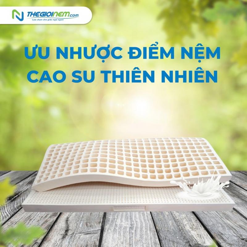 Thế Giới Nệm Quy Nhơn