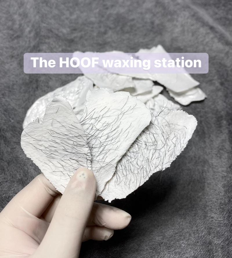 The HOOF waxing station