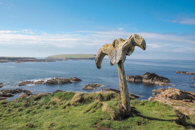 The Shetlands and Orkney