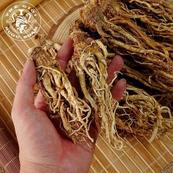 Hình ảnh sâm đương quy khô tại Thegioiruoungam.com