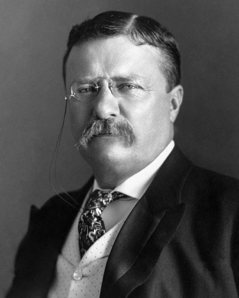 Theodore Roosevelt