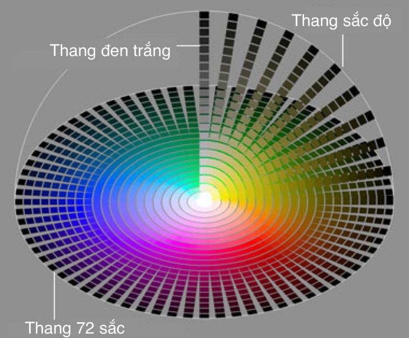 Thí nghiệm đổi màu khi pha trộn màu sắc