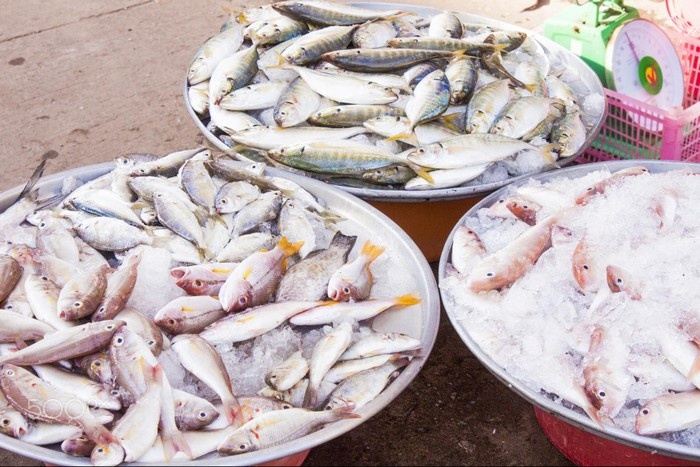 Kien Giang fish paradise